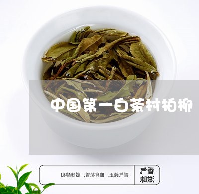 中国第一白茶村柏柳/2023121682826