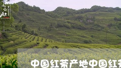 中国红茶产地中国红茶的主要产地/2023060256471