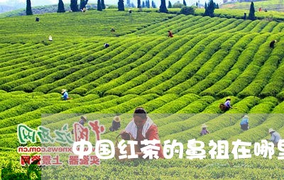 中国红茶的鼻祖在哪里/2023060847171