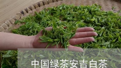 中国绿茶安吉白茶/2023061427272