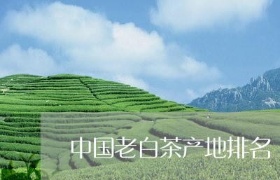 中国老白茶产地排名/2023121600806