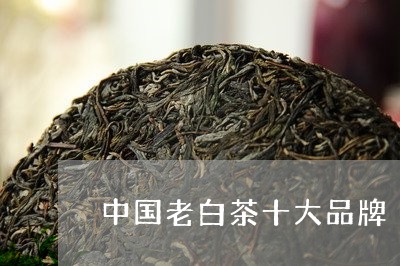 中国老白茶十大品牌/2023121669381