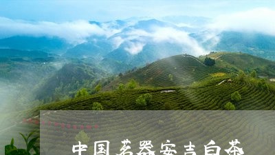 中国茗器安吉白茶/2023061423015