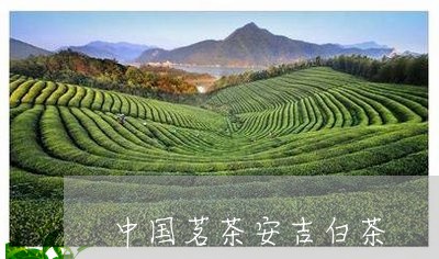 中国茗茶安吉白茶/2023061425068