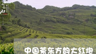 中国茶东方韵大红炮/2023042333737