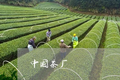 中国茶厂/2023121910592