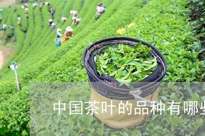 中国茶叶的品种有哪些/2023071644916