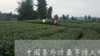 中国茶外传最早传入哪个国家/2023052659604