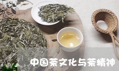 中国茶文化与茶精神/2023042313926