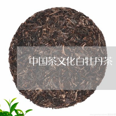 中国茶文化白牡丹茶/2023121664837