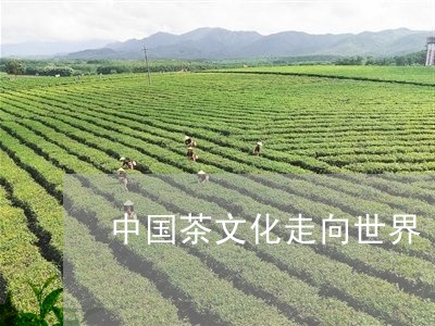 中国茶文化走向世界/2023042304928