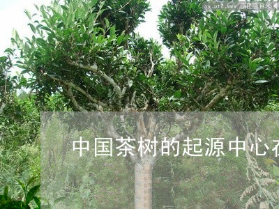 中国茶树的起源中心在哪里/2023051183615