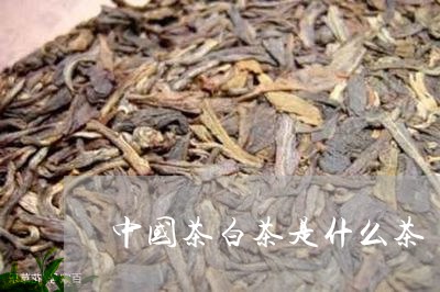 中国茶白茶是什么茶/2023121639471