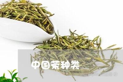 中国茶种类/2023122014847