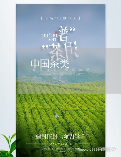 中国茶类/2023121941693