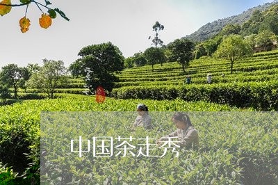中国茶走秀/2023122025057