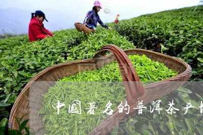 中国著名的普洱茶产地/2023100596148