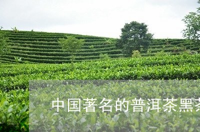 中国著名的普洱茶黑茶/2023100734968