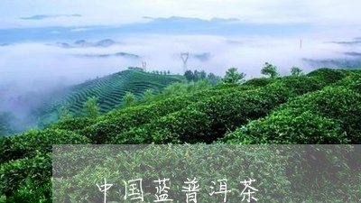 中国蓝普洱茶/2023081888582