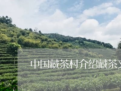 中国藏茶村介绍藏茶文化图片/2023052615937