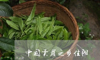 中国贡眉之乡佳阳/2023090709370