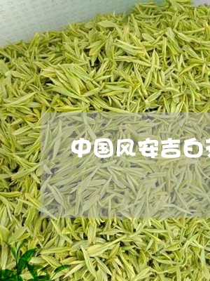 中国风安吉白茶价格/2023121607380