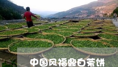 中国风福鼎白茶饼/2023062829584