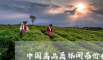 中国高品质林间茶价格/2023060971535