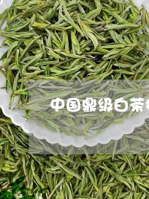 中国鼎级白茶排行榜/2023121603147