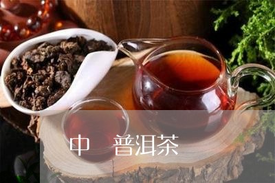 中國普洱茶網/2023042519725