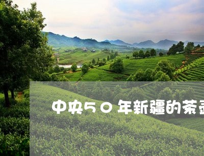 中央50年新疆的茶壶新疆茶壶/2023053137273