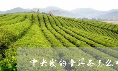 中央发的普洱茶怎么喝/2023062285179