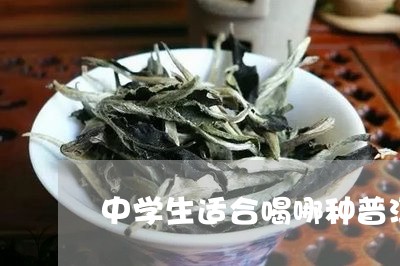 中学生适合喝哪种普洱茶/2023110141815