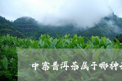 中寨普洱茶属于哪种茶/2023082892727