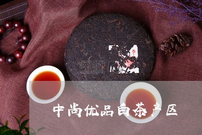 中尚优品白茶产区/2023061411402