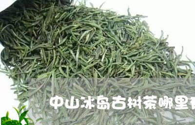 中山冰岛古树茶哪里有/2023092249301