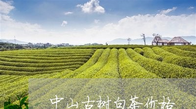 中山古树白茶价格/2023061422814