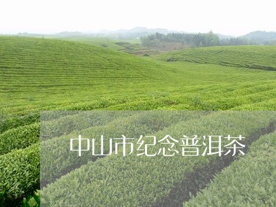 中山市纪念普洱茶/2023112675137