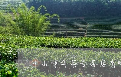 中山普洱茶专营店有哪些/2023103136351