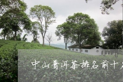 中山普洱茶排名前十名是什么茶/2023082832515