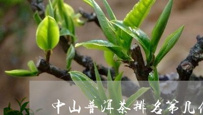 中山普洱茶排名第几位了/2023082755271