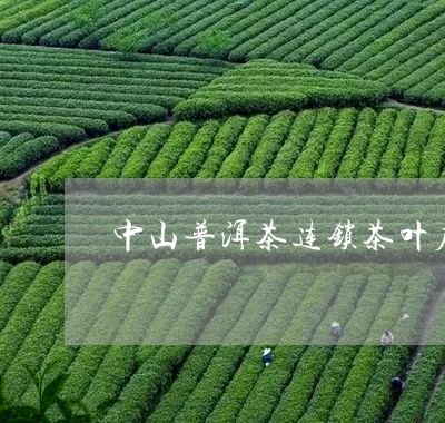 中山普洱茶连锁茶叶店/2023061331506