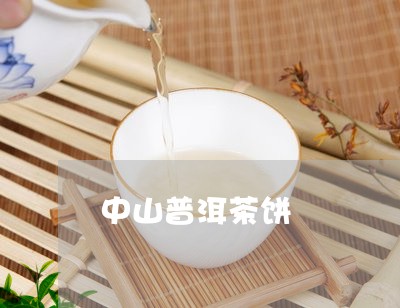 中山普洱茶饼/2023042722843