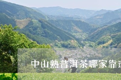 中山熟普洱茶哪家靠谱/2023093026460