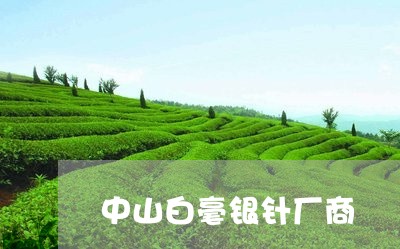 中山白毫银针厂商/2023061492938