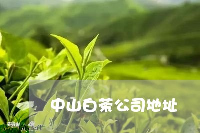 中山白茶公司地址/2023061499694