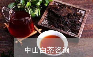 中山白茶咨询/2023051331806