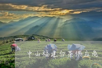 中山福建白茶供应商/2023120542806