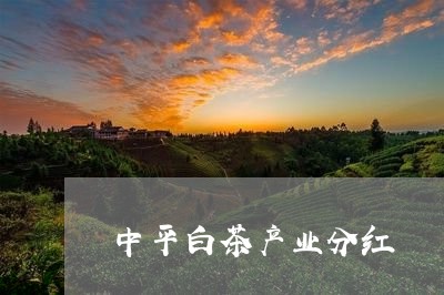 中平白茶产业分红/2023061410515