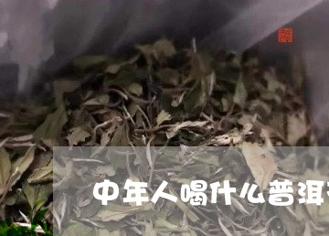 中年人喝什么普洱茶好/2023072414017